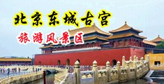 疯狂插入荡妇av中国北京-东城古宫旅游风景区